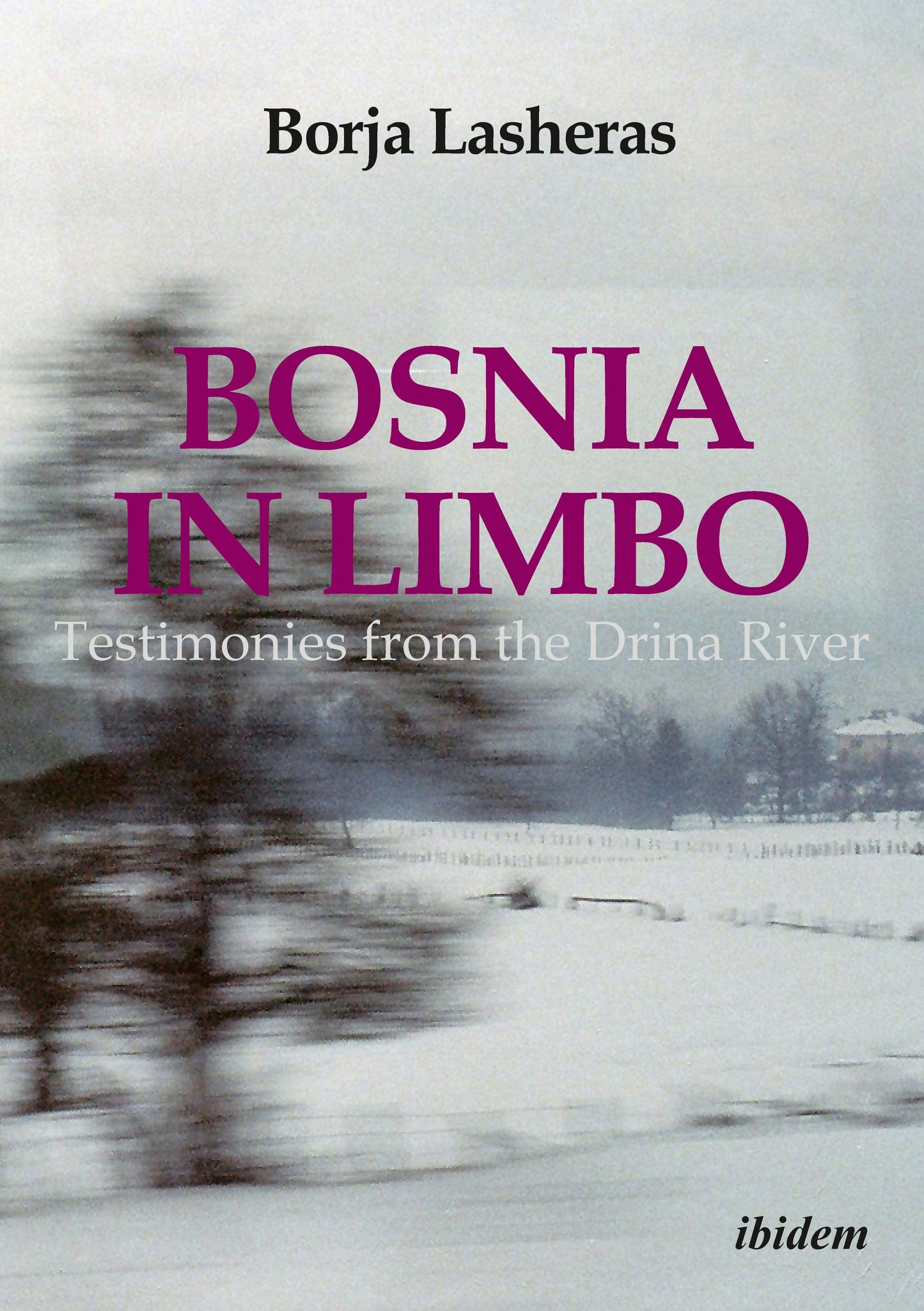 Book cover image for Bosnia in Limbo ISBN: 9783838211329