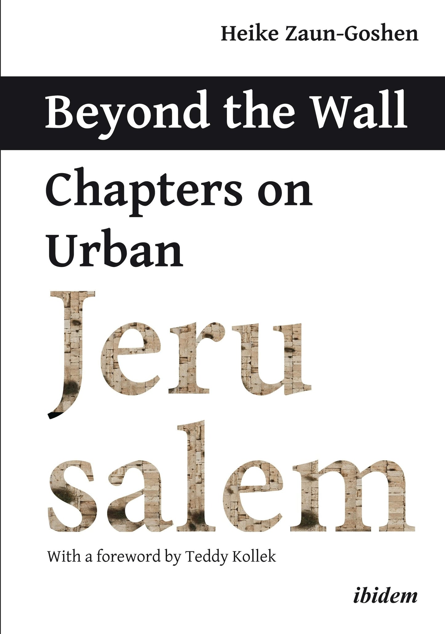 Book cover image for Beyond the Wall ISBN: 9783838213156