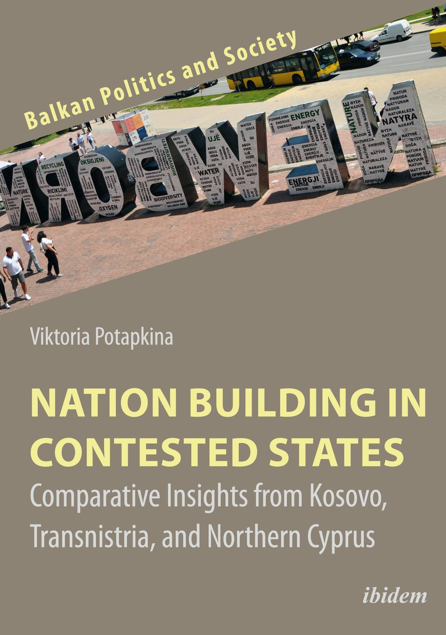 Book cover image for Nation Building in Contested States ISBN: 9783838213811