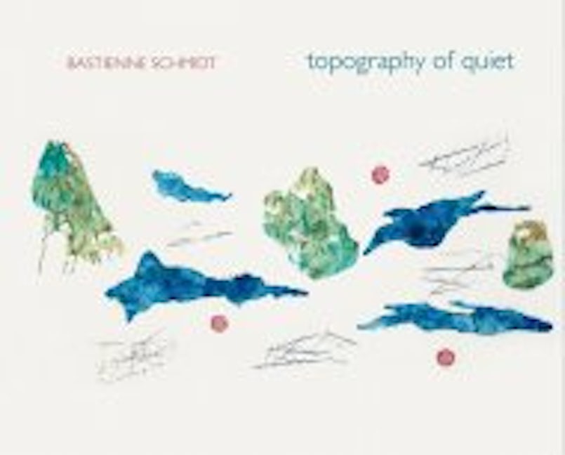 Book cover image for Bastienne Schmidt: Topography of Quiet ISBN: 9783868592603