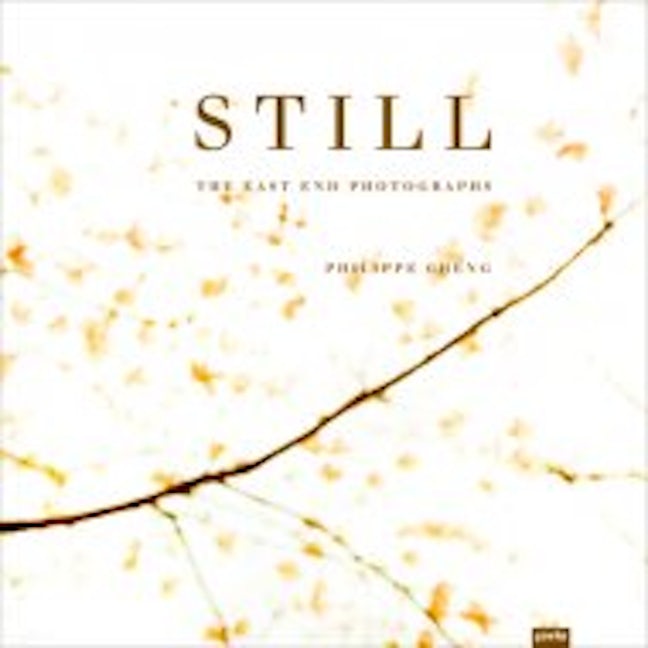 Book cover image for Philippe Cheng: Still ISBN: 9783868593501