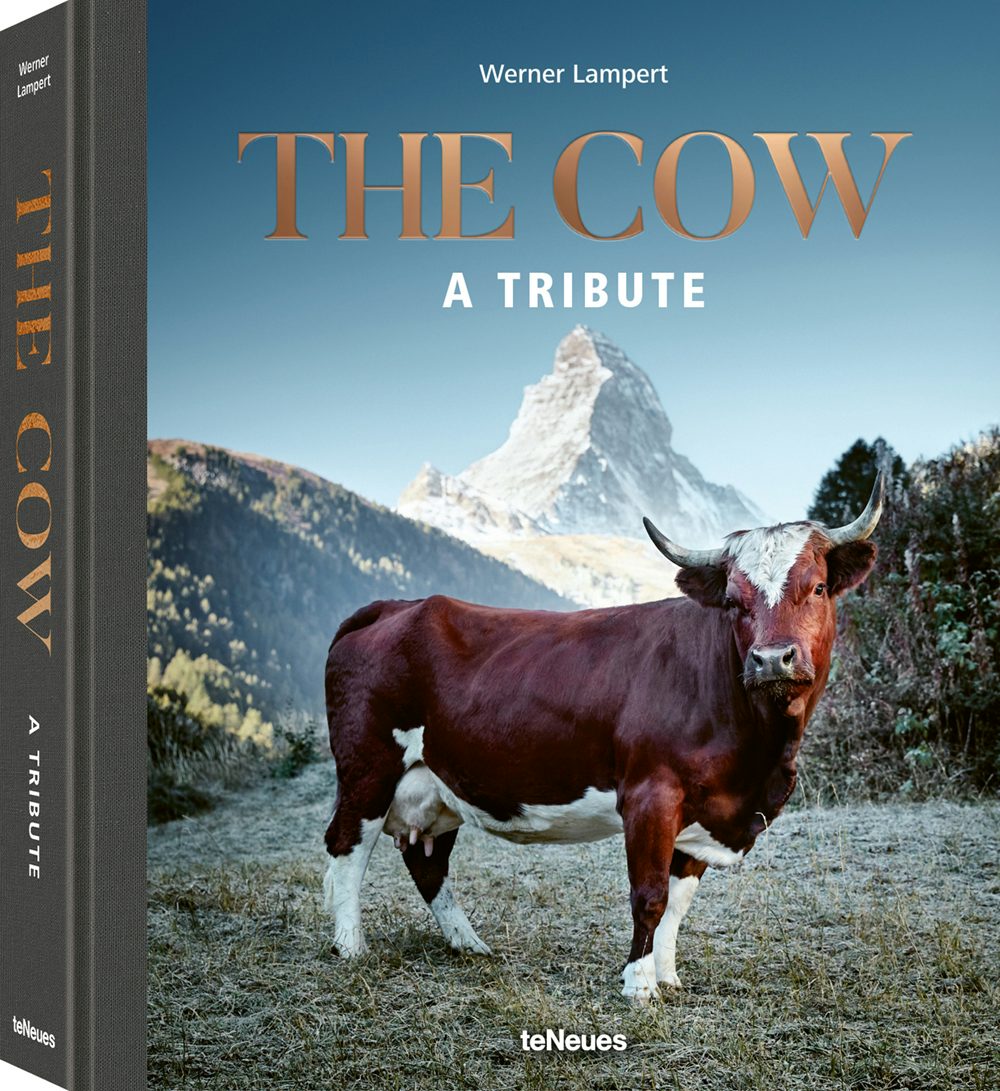 Book cover image for The Cow ISBN: 9783961711840