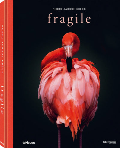 Cover image for Fragile, isbn: 9783961712229