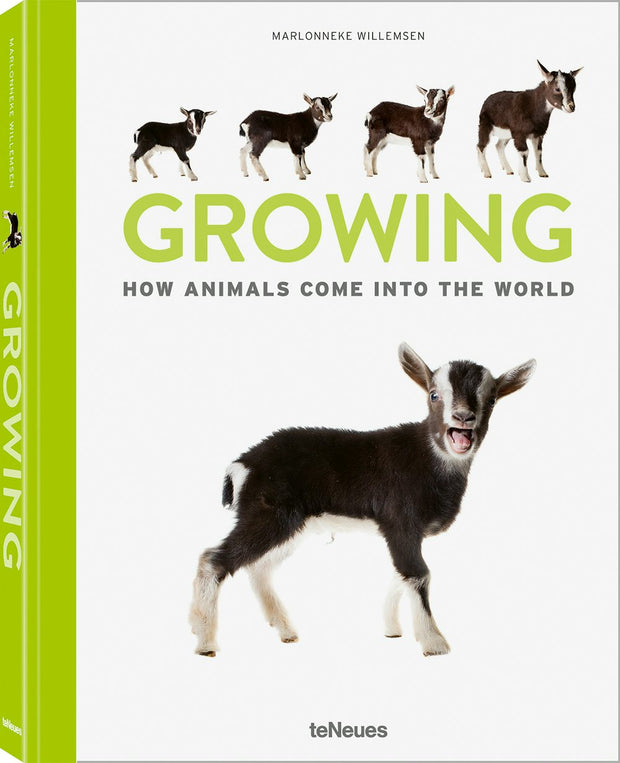 Cover image for Growing, isbn: 9783961713363