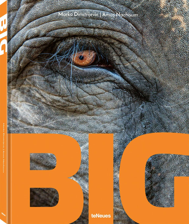 Cover image for Big, isbn: 9783961713851