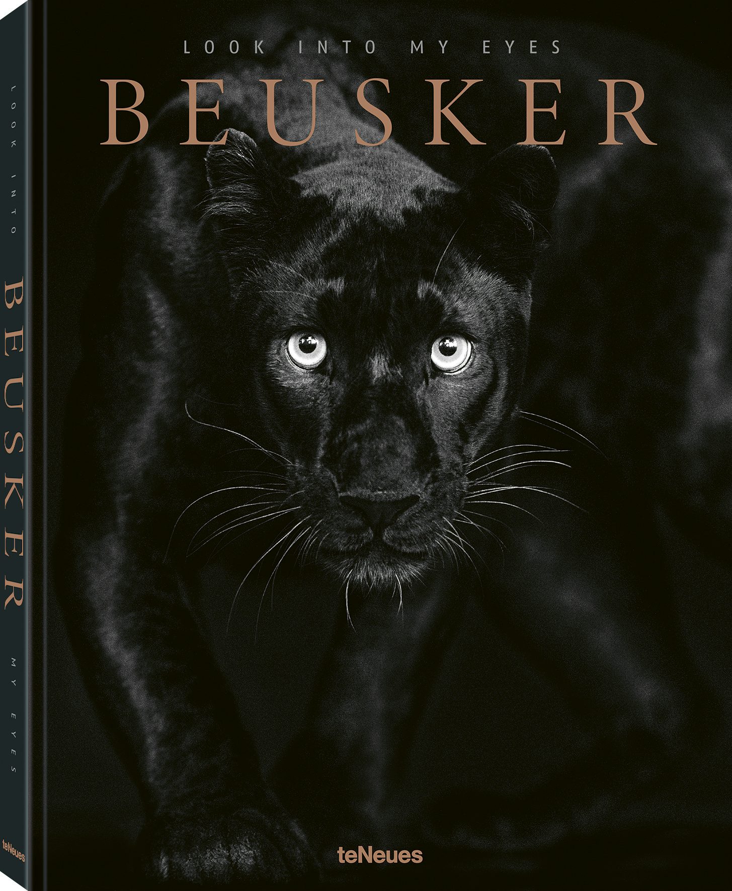 Book cover image for Beusker ISBN: 9783961714964