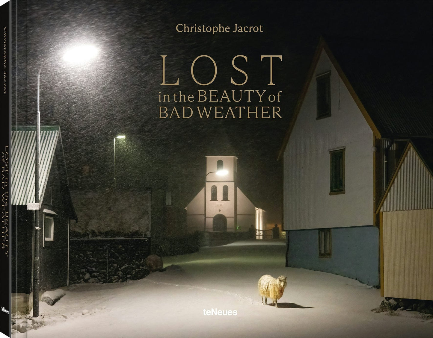 Book cover image for Lost in the Beauty of Bad Weather ISBN: 9783961714971