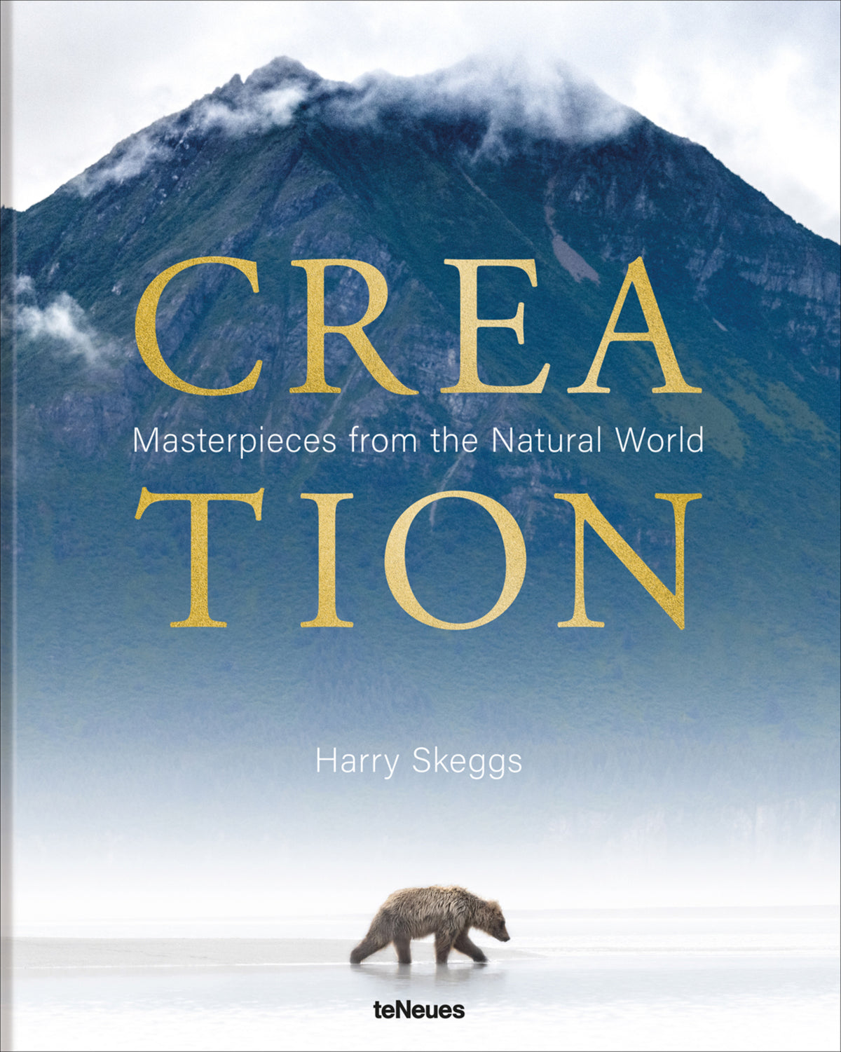 Cover image for Creation ISBN 9783961715558
