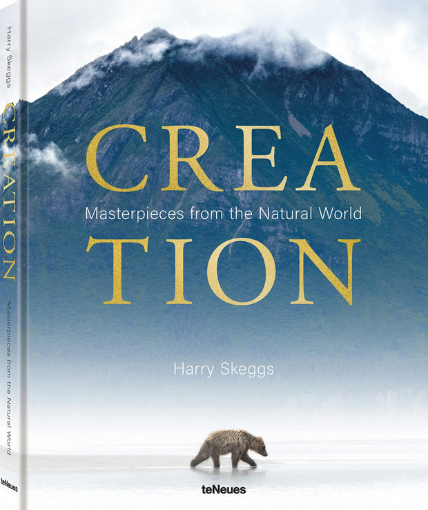 Cover image for Creation, isbn: 9783961715558