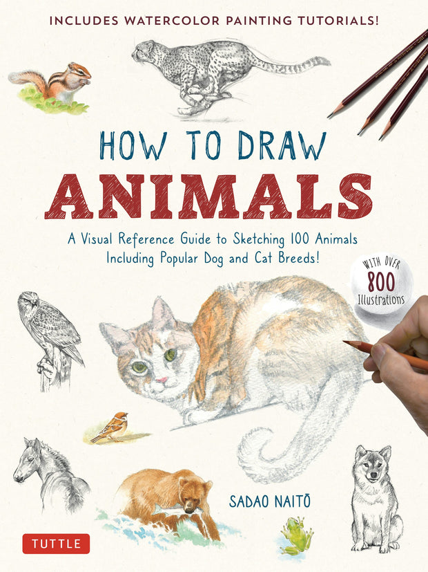 Cover image for How to Draw Animals, isbn: 9784805317358