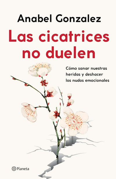 Las cicatrices no duelen: Como sanar nuestras heridas y deshacer los nudos emocionales / Wounds don't hurt