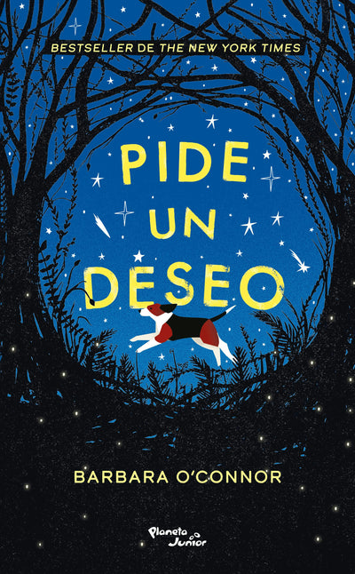 Cover image for Pide un deseo / Wish, isbn: 9786070795442