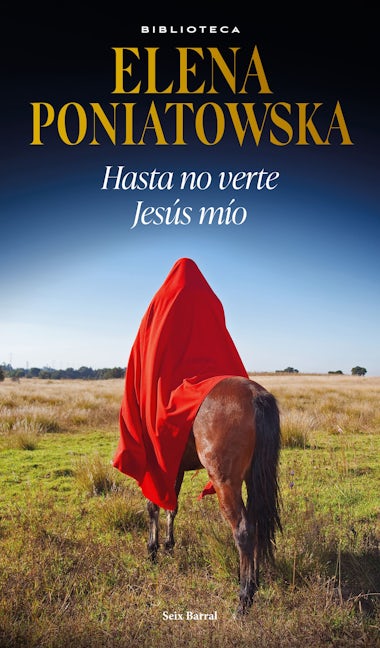 Book cover image for Hasta no verte Jesús mío ISBN: 9786073900447