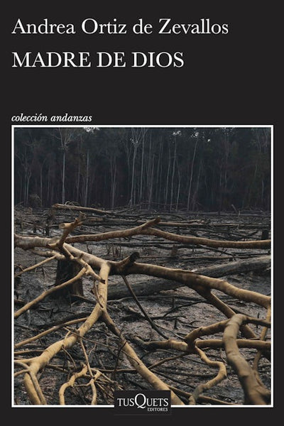 Madre de Dios  (Novela) / Mother of God (A Novel)
