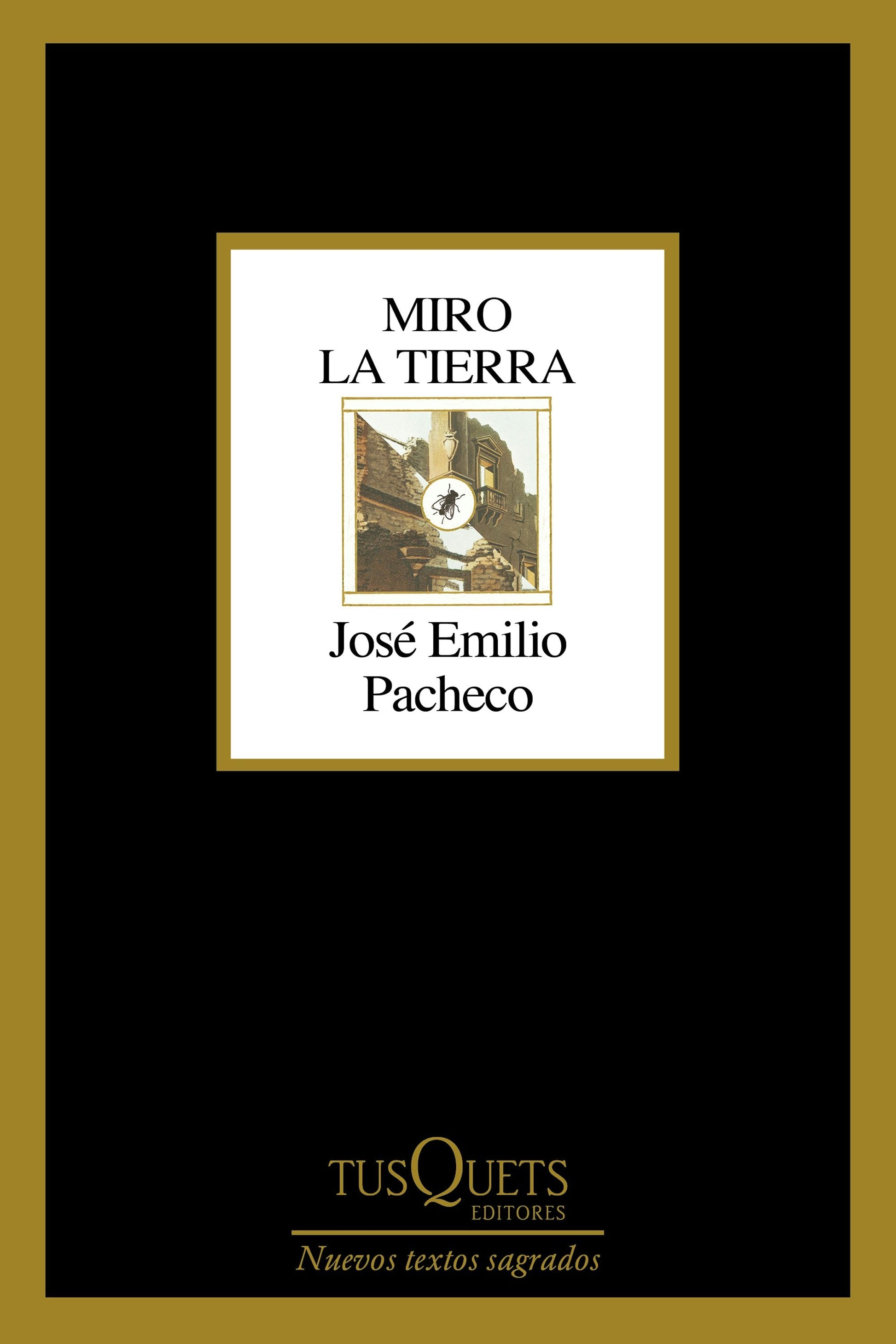 Miro la tierra (Poesía) / I Look at the Ground (Poems)