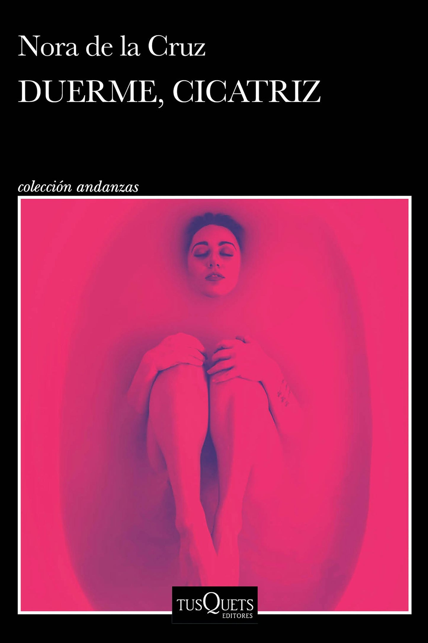 Book cover image for Duerme, cicatriz (Novela) / Sleep, Scar (A Novel) ISBN: 9786073927321