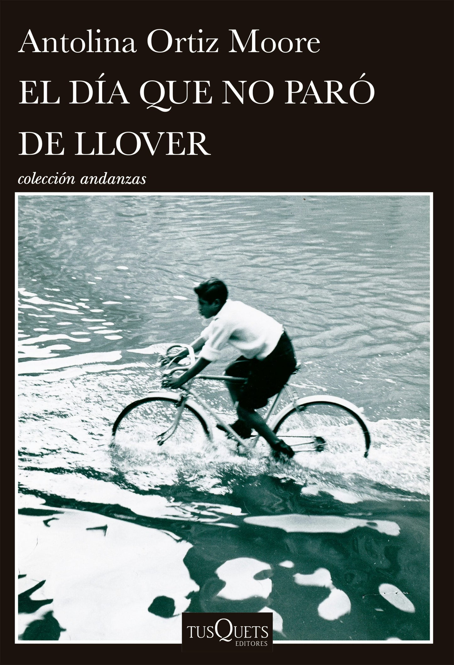 Book cover image for El día que no paró de llover / The Day It Never Stopped Raining ISBN: 9786073931137