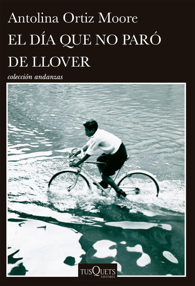 Cover image for El día que no paró de llover / The Day It Never Stopped Raining, isbn: 9786073931137