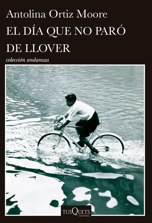 Cover image for El día que no paró de llover / The Day It Never Stopped Raining, isbn: 9786073931137