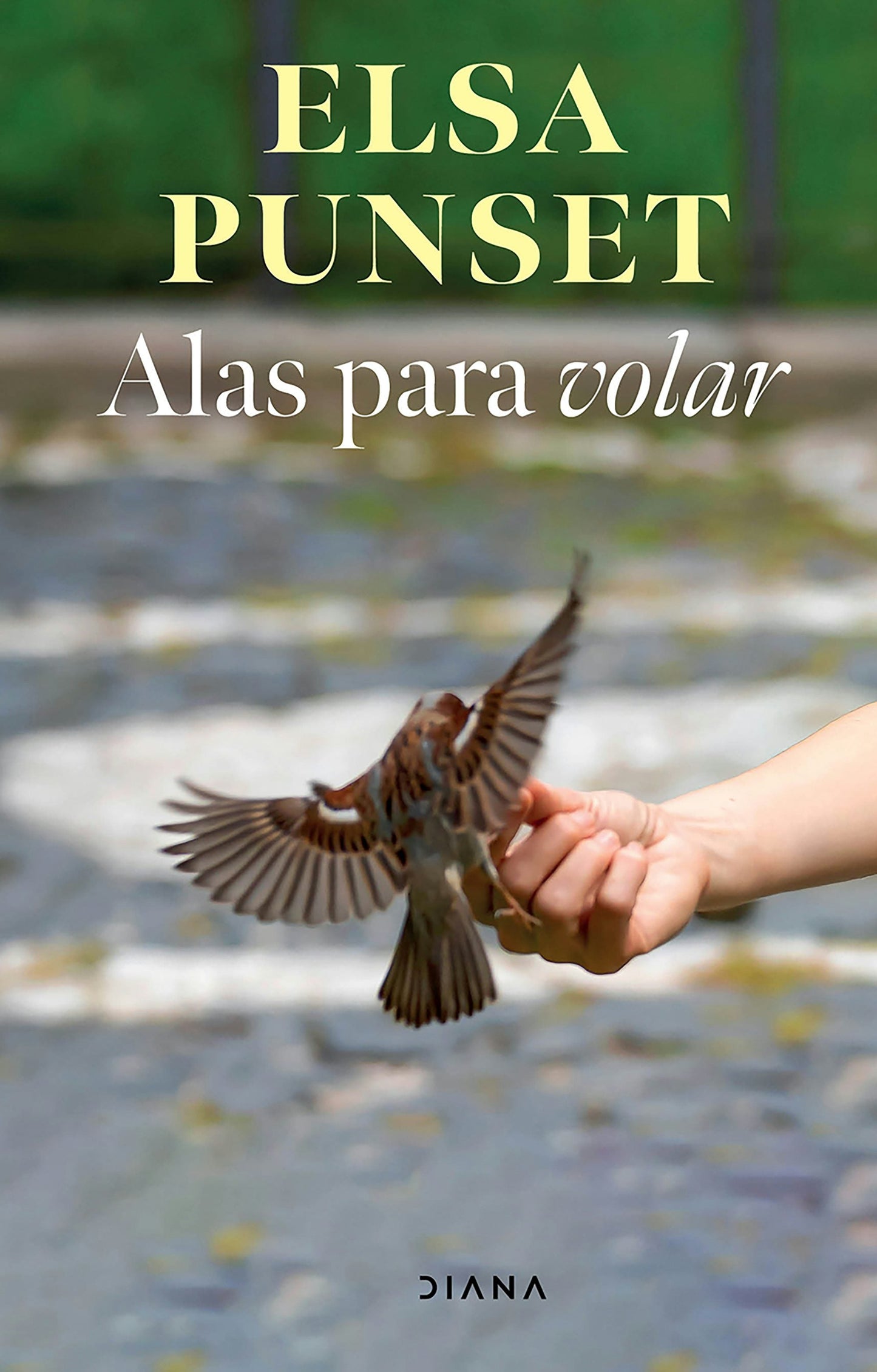 Book cover image for Alas para volar / Wings for Fly ISBN: 9786073935821
