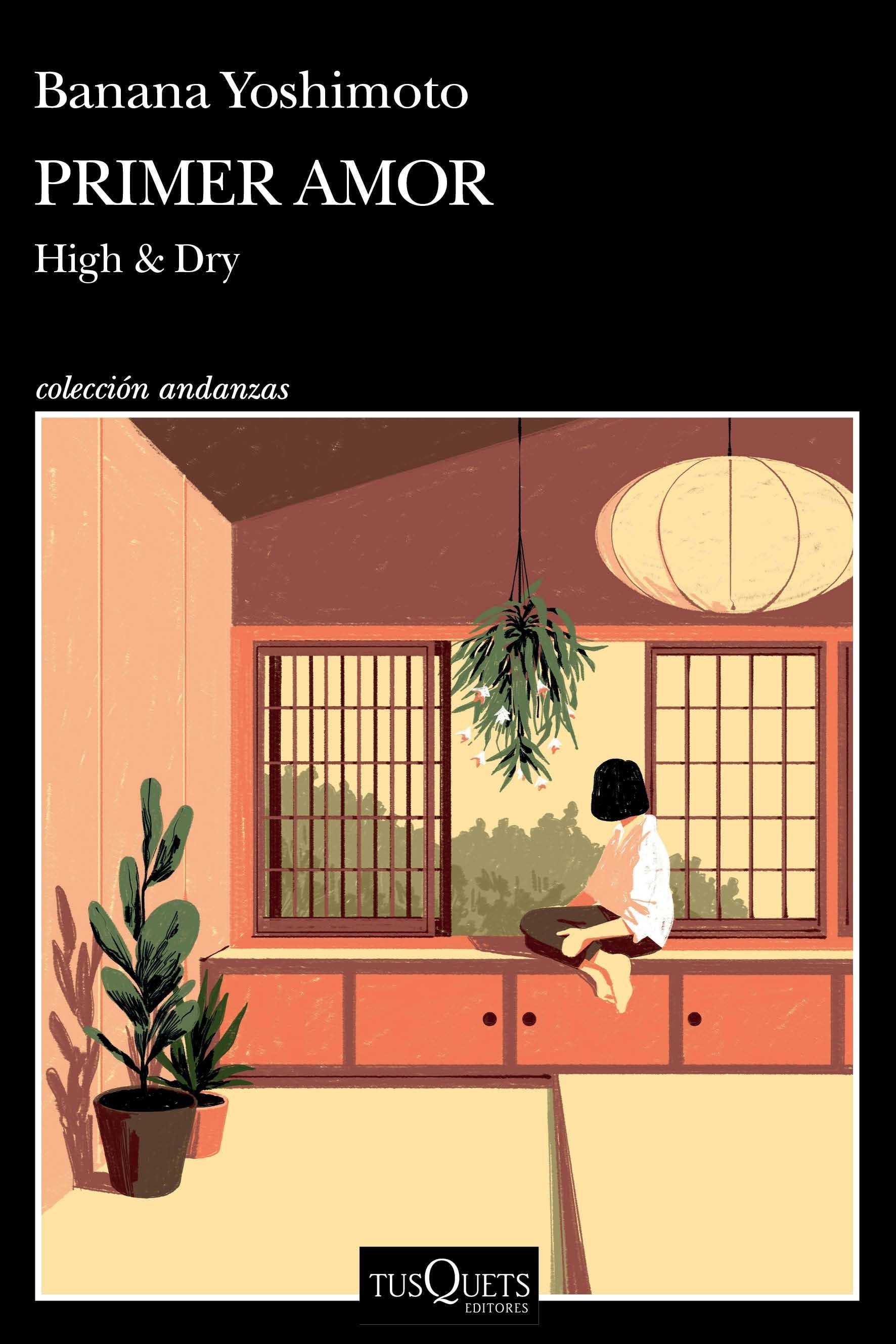 Primer amor (Novela) / High and Dry (A Novel)