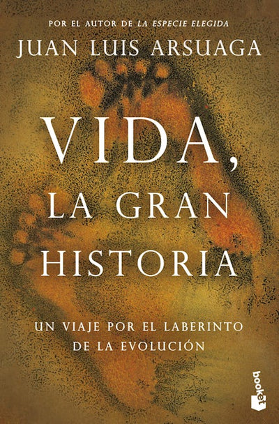 Vida, la gran historia