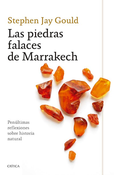 Las piedras falaces de Marrakech: Penúltimas reflexiones sobre historia natural / The Lying Stones of Marrakech