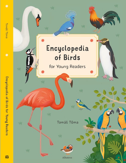 Book cover image for Encyclopedia of Birds for Young Readers ISBN: 9788000063508