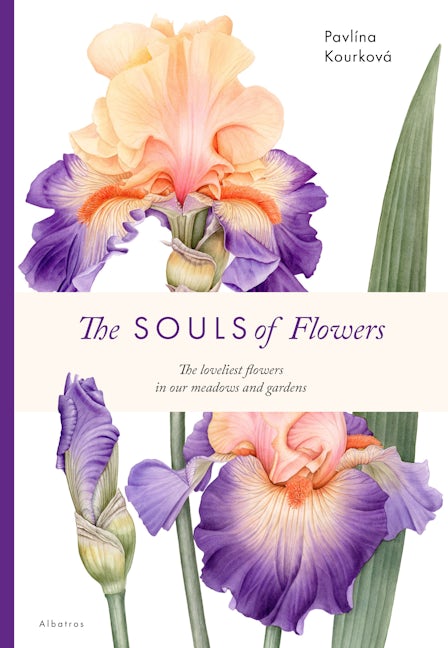 Book cover image for The Souls of Flowers ISBN: 9788000071008