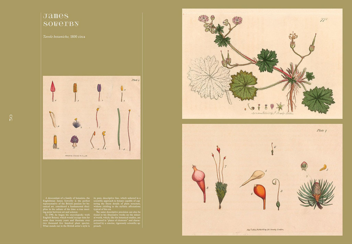 Cover image for A Herbaria of Plants, Floras and Botanical Treasures ISBN 9788410651272