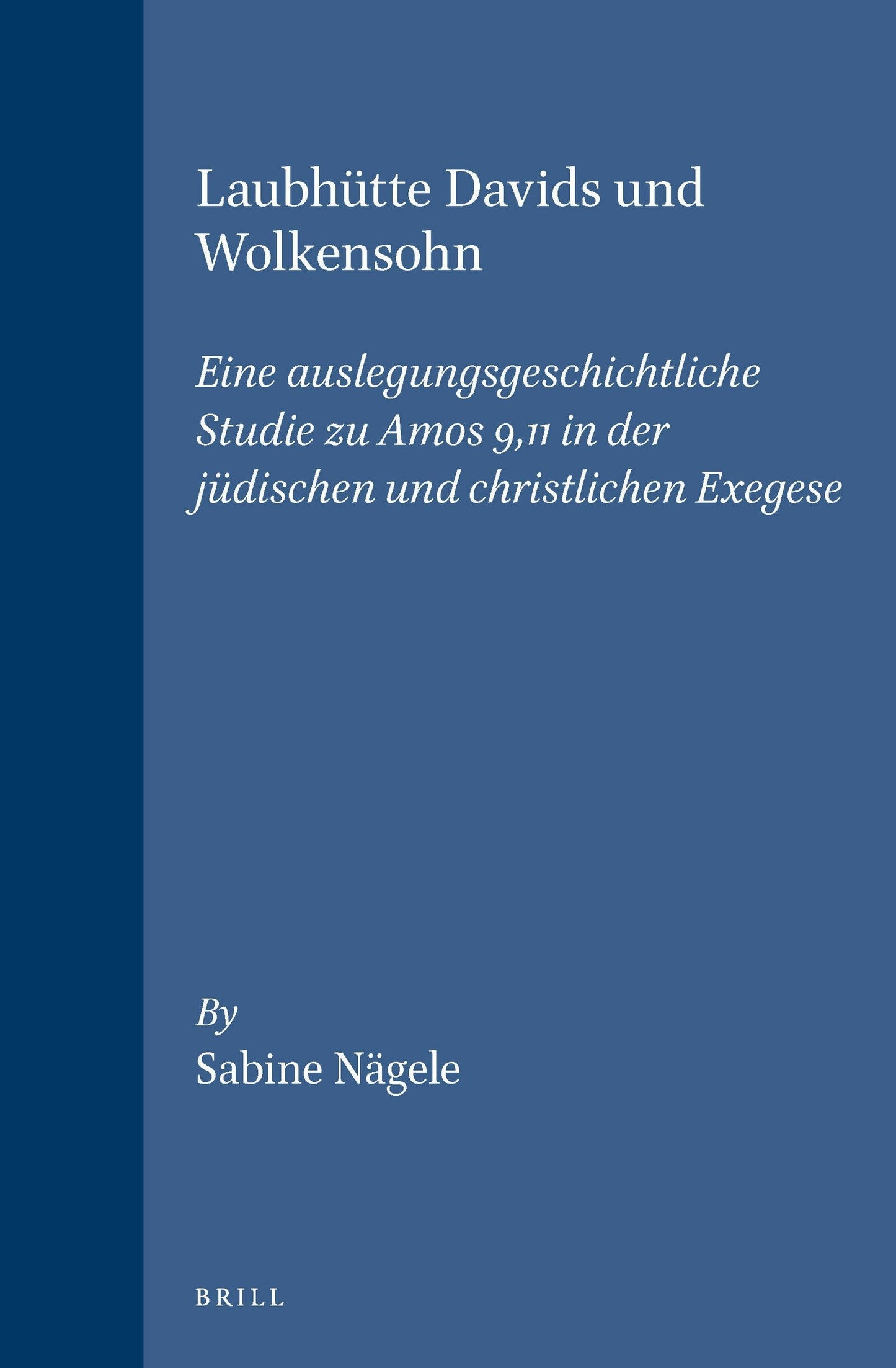 Book cover image for Laubhütte Davids und Wolkensohn ISBN: 9789004101630