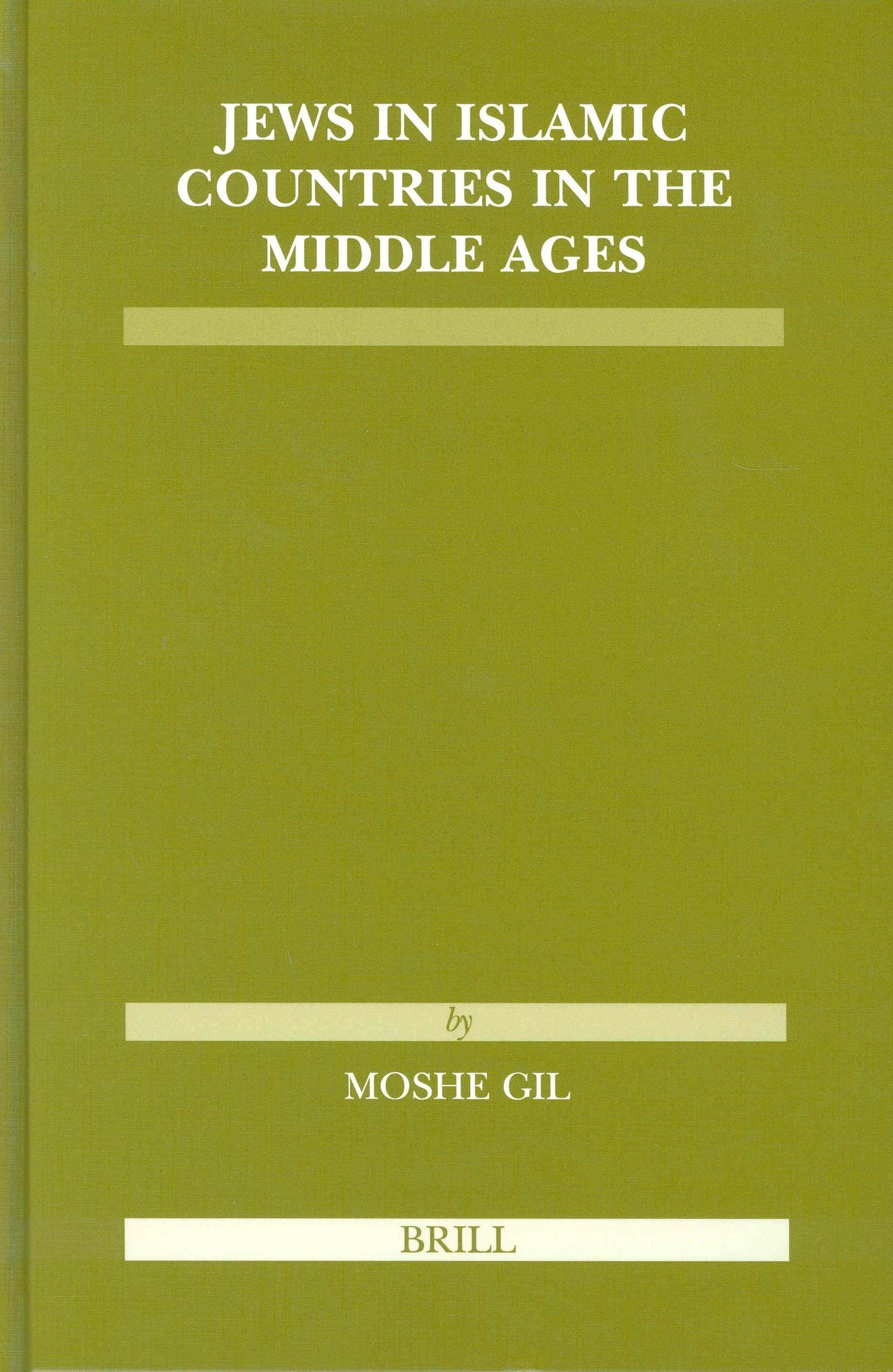 Book cover image for Jews in Islamic Countries in the Middle Ages ISBN: 9789004138827