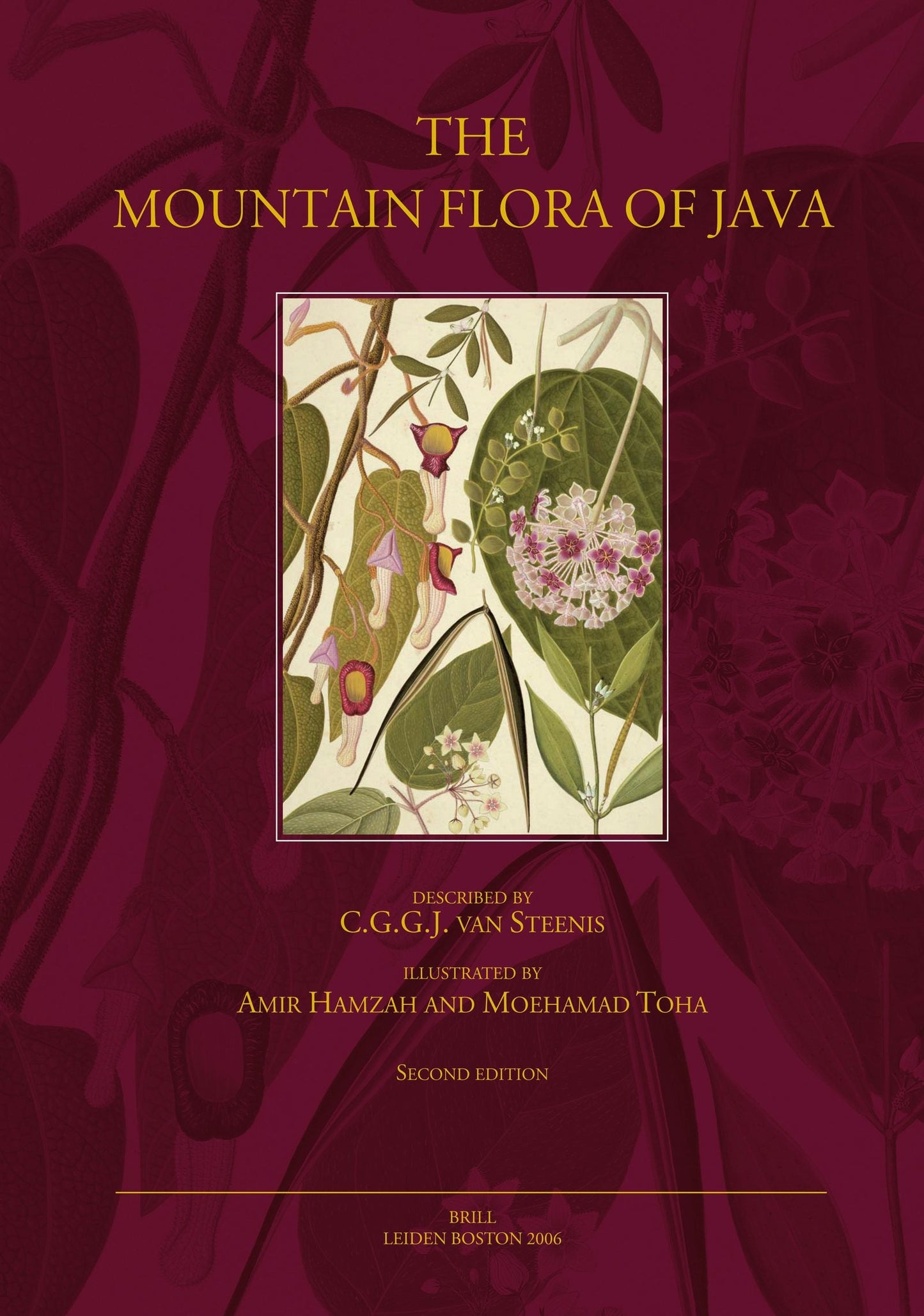 Book cover image for Mountain flora of Java, 2nd edition ISBN: 9789004153479