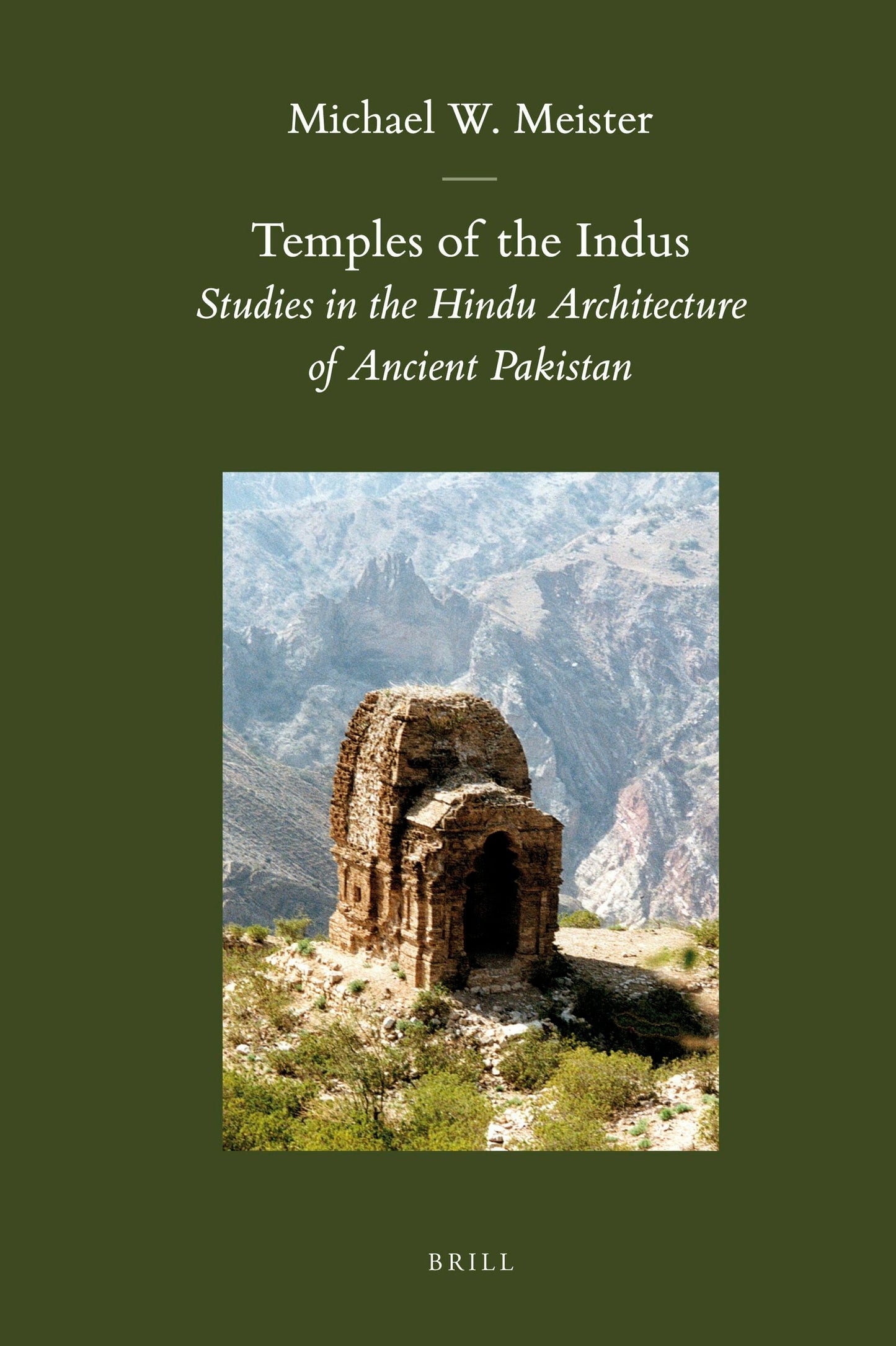 Book cover image for Temples of the Indus ISBN: 9789004186170