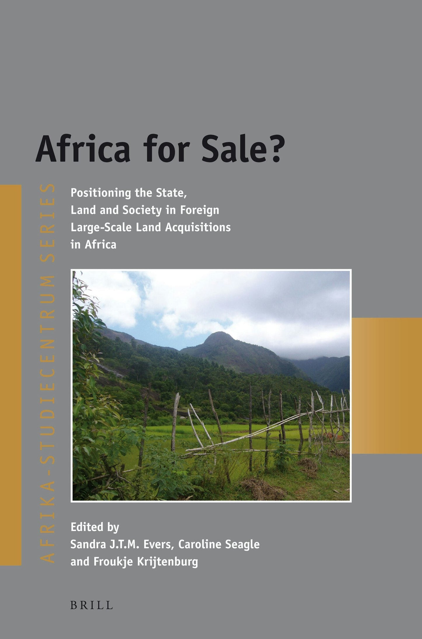 Book cover image for Africa for Sale? ISBN: 9789004251939