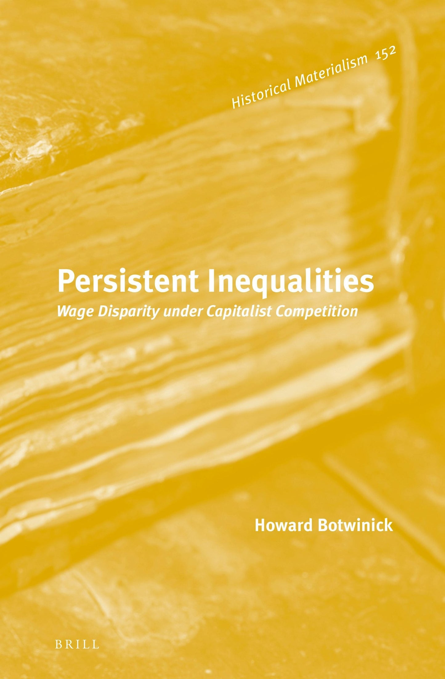 Book cover image for Persistent Inequalities ISBN: 9789004269583