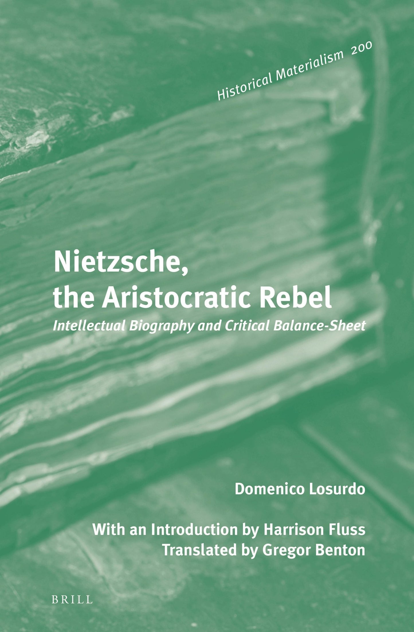 Book cover image for Nietzsche, the Aristocratic Rebel ISBN: 9789004270947