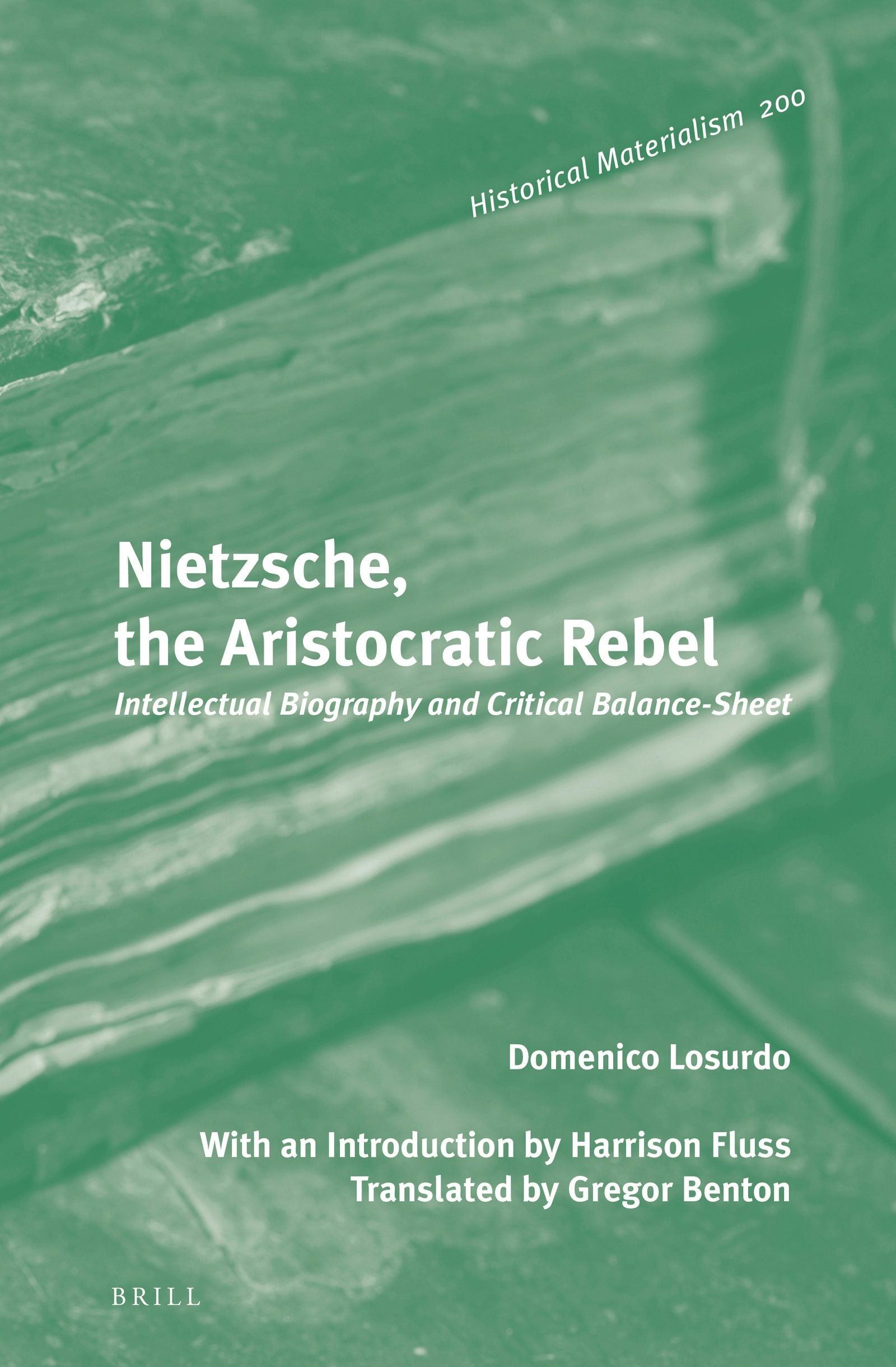 Book cover image for Nietzsche, the Aristocratic Rebel ISBN: 9789004270947