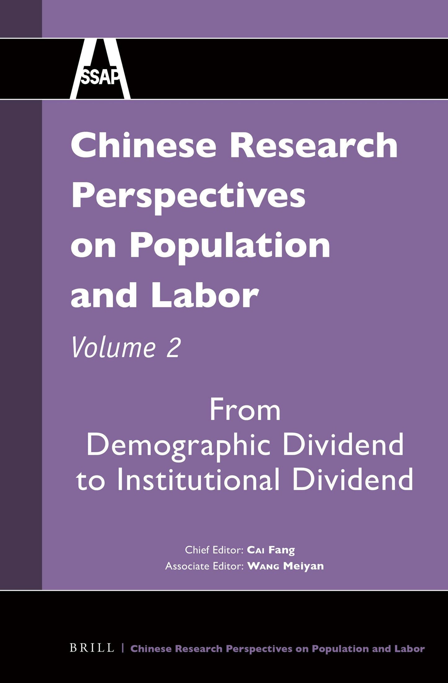 Book cover image for Chinese Research Perspectives on Population and Labor, Volume 2 ISBN: 9789004279933