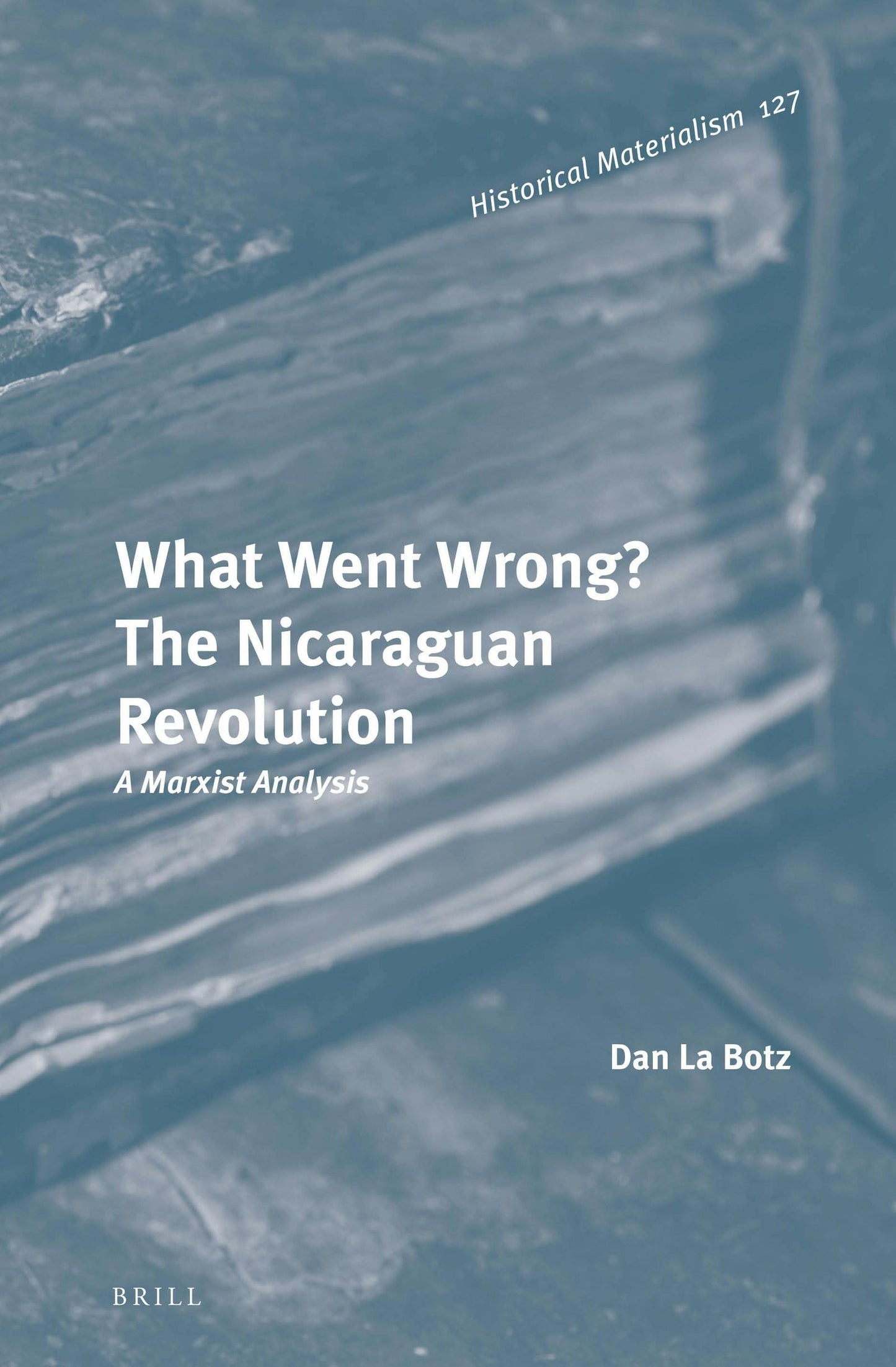 Book cover image for What Went Wrong? The Nicaraguan Revolution ISBN: 9789004291300
