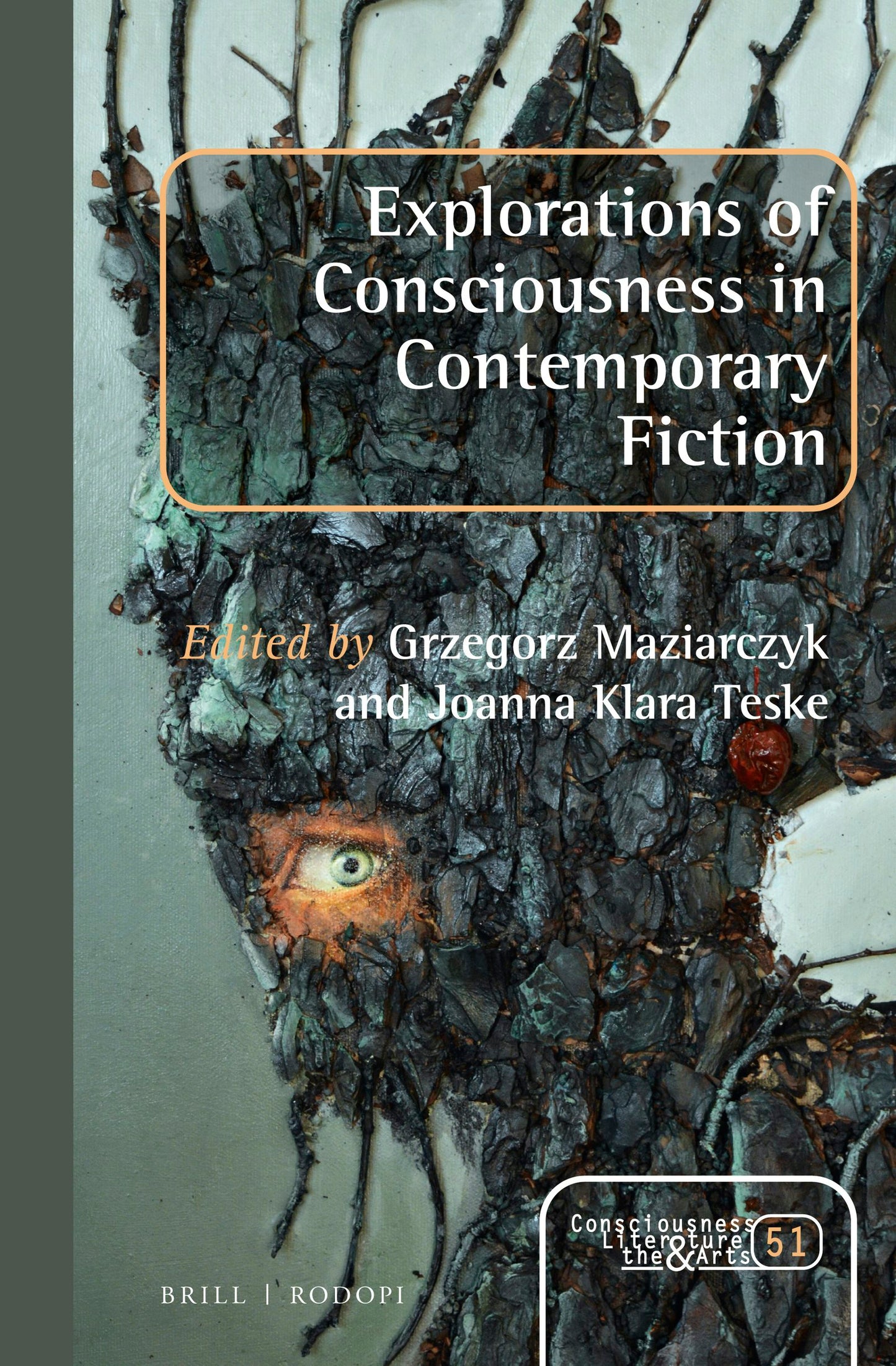 Book cover image for Explorations of Consciousness in Contemporary Fiction ISBN: 9789004347830