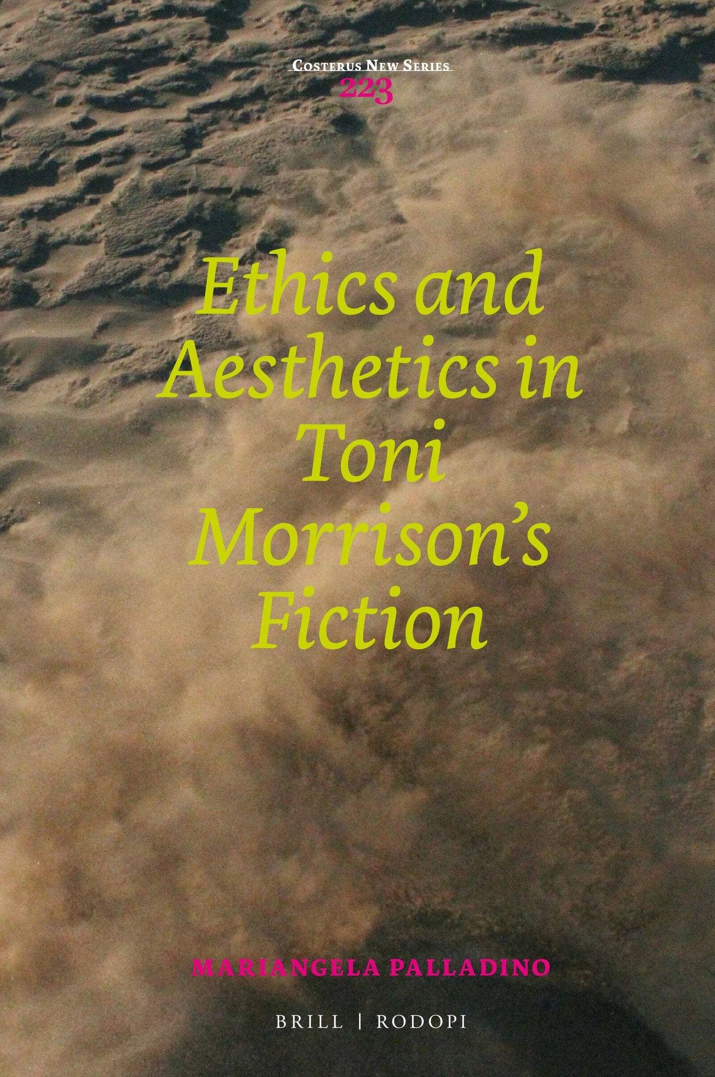 Book cover image for Ethics and Aesthetics in Toni Morrison’s Fiction ISBN: 9789004360020