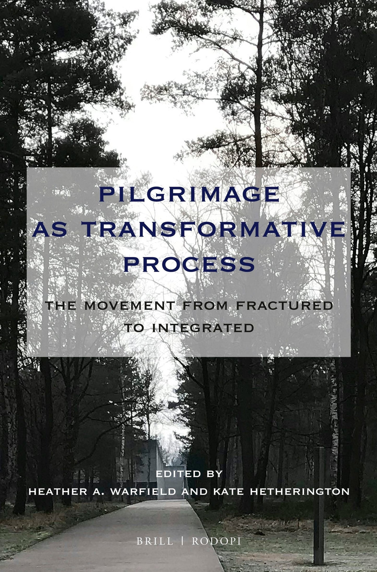 Book cover image for Pilgrimage as Transformative Process ISBN: 9789004373396