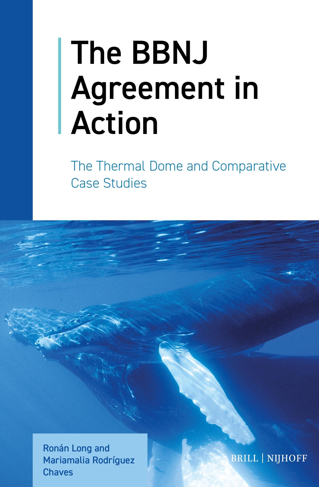 Cover image for The BBNJ Agreement in Action ISBN 9789004375994