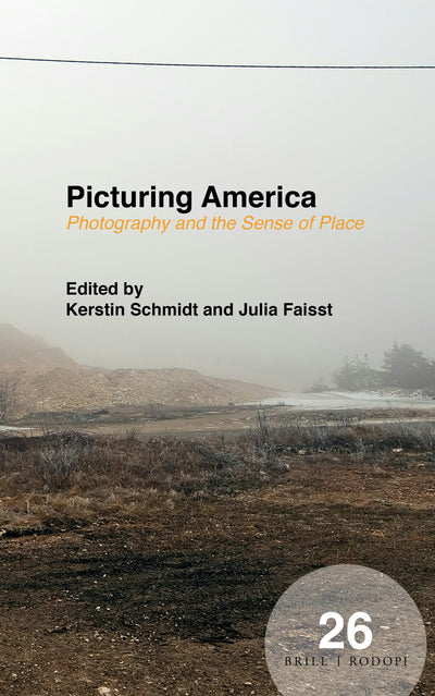 Cover image for Picturing America, isbn: 9789004385467