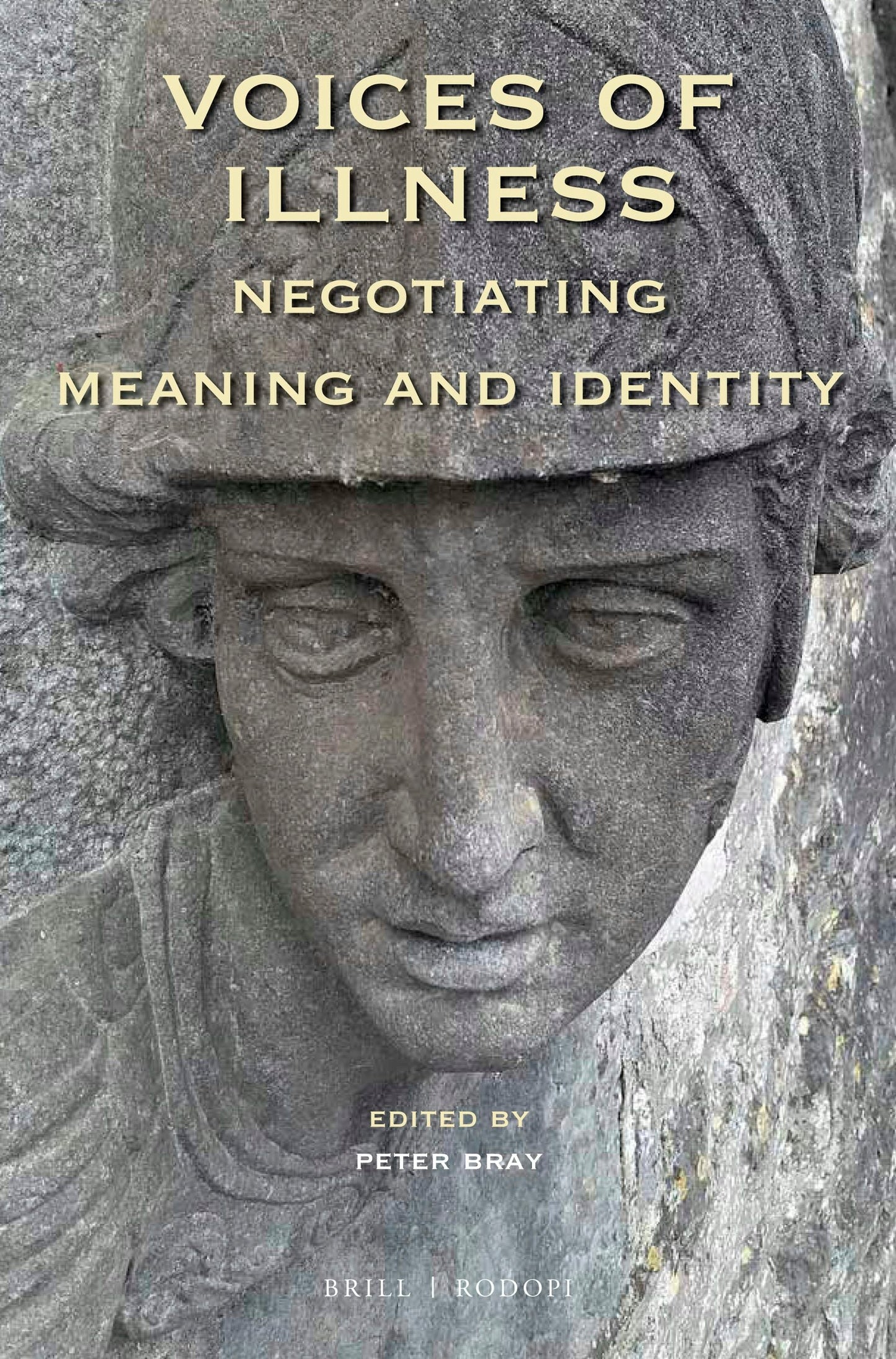 Book cover image for Voices of Illness: Negotiating Meaning and Identity ISBN: 9789004390782