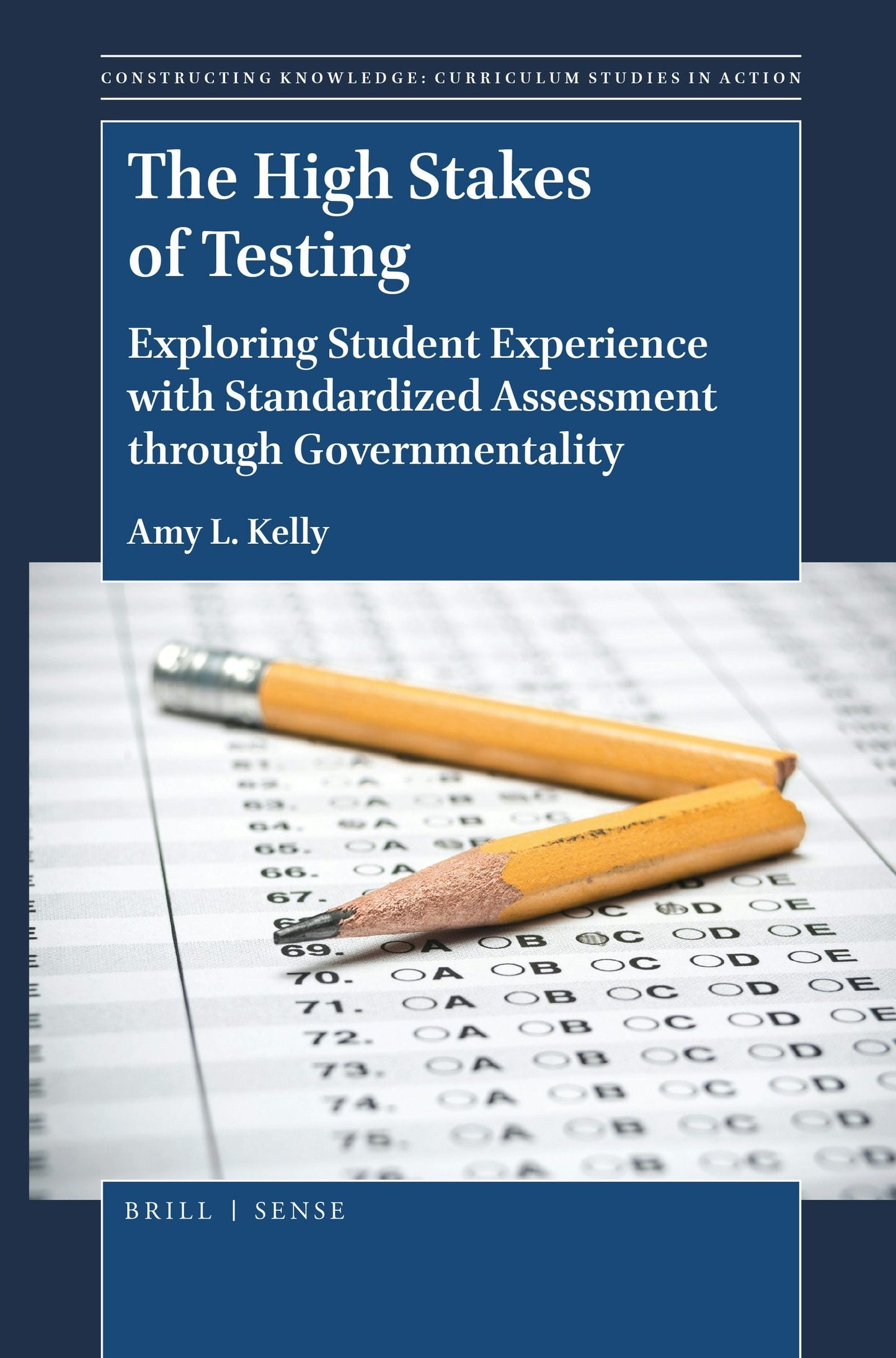 Book cover image for The High Stakes of Testing ISBN: 9789004401341