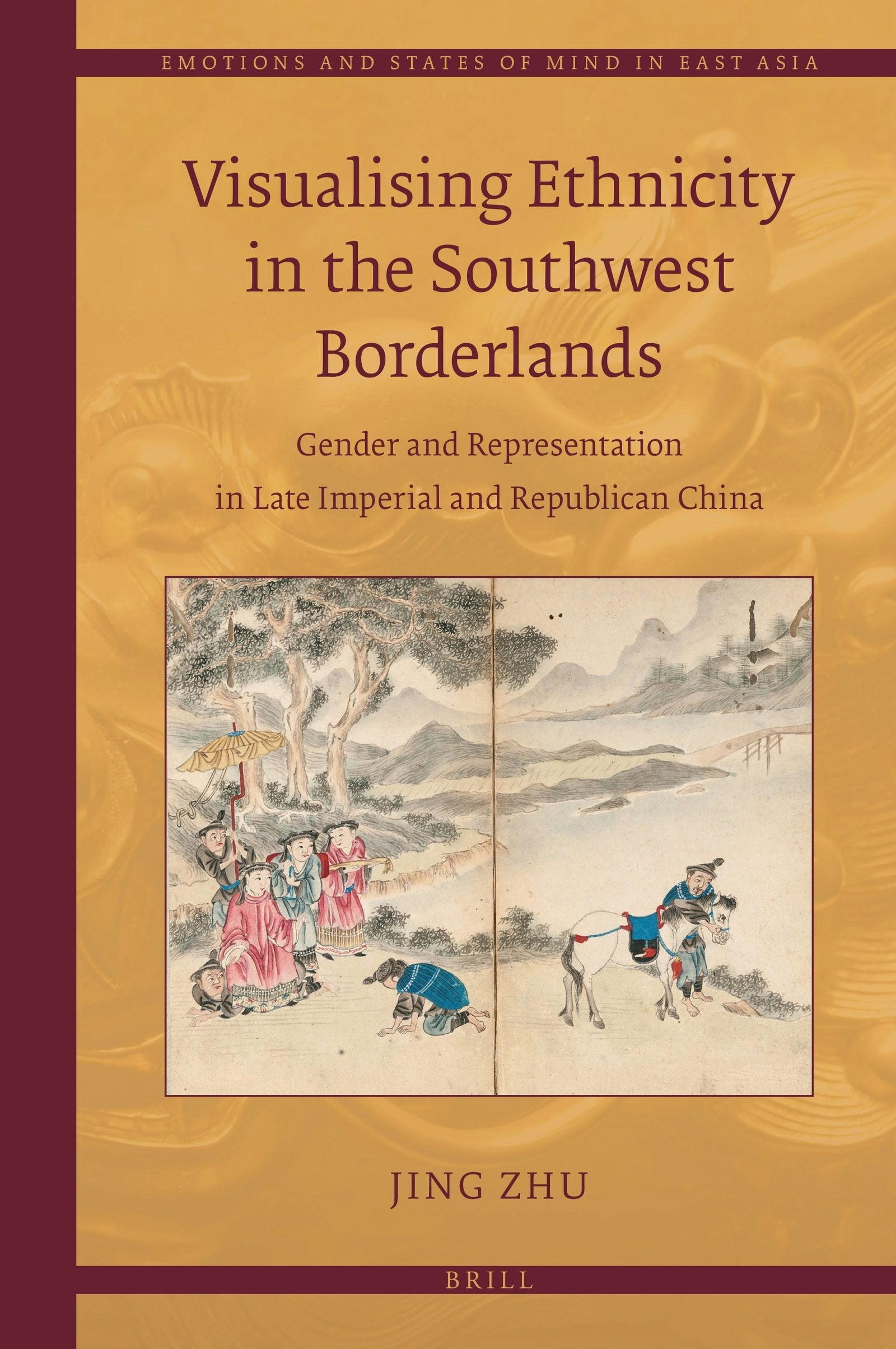 Book cover image for Visualising Ethnicity in the Southwest Borderlands ISBN: 9789004422759