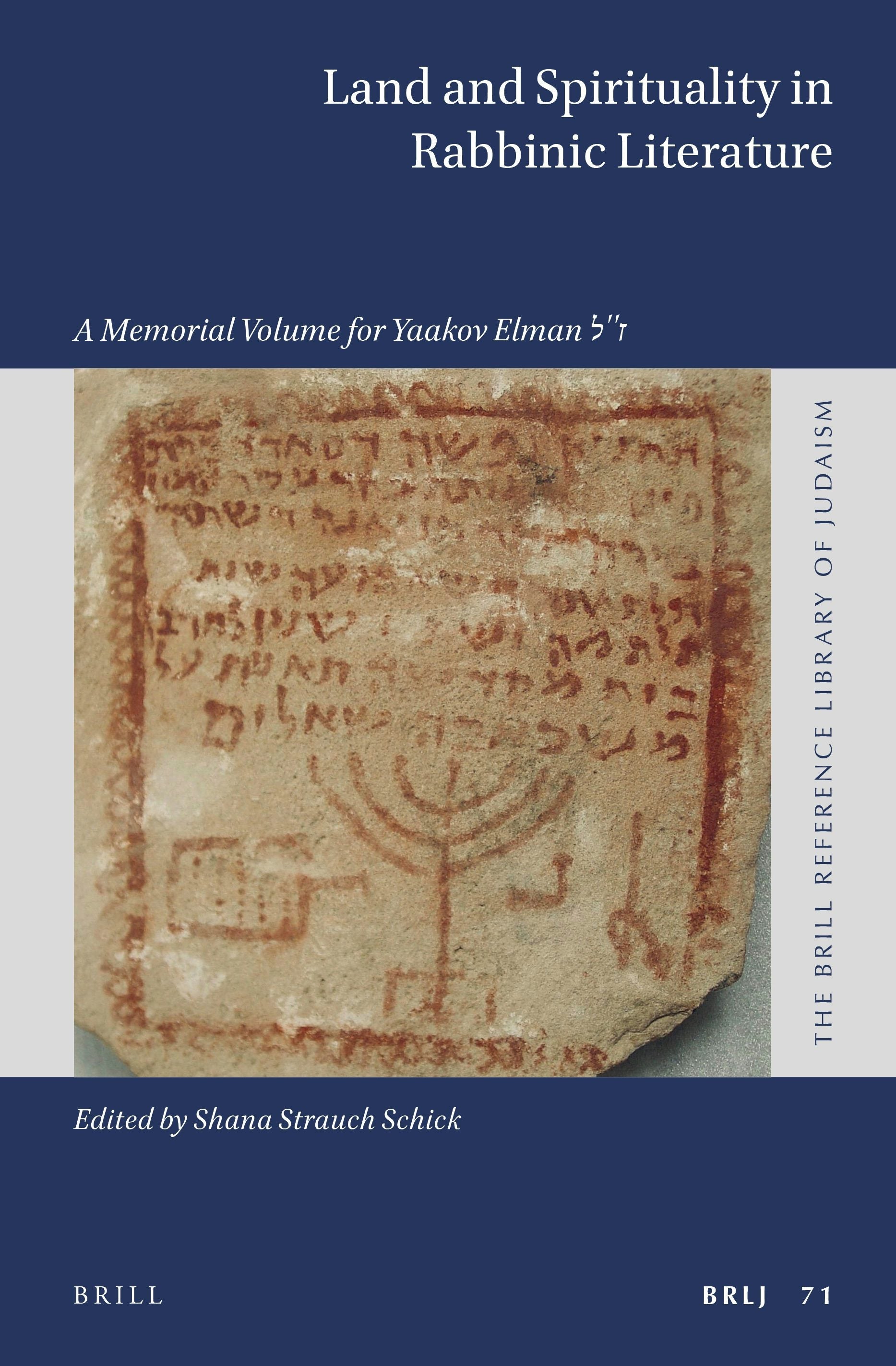 Book cover image for Land and Spirituality in Rabbinic Literature ISBN: 9789004503151