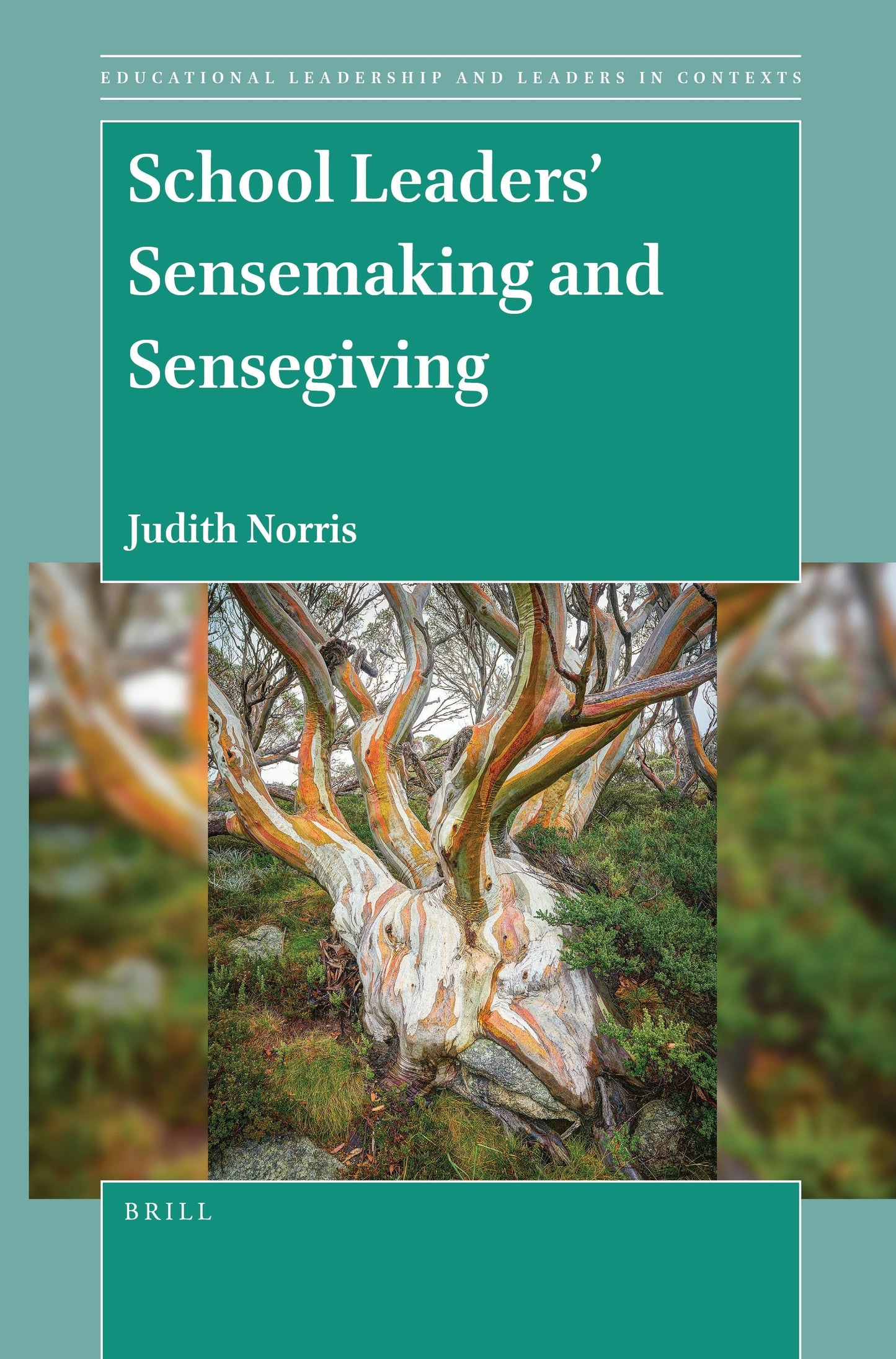 Book cover image for School Leaders’ Sensemaking and Sensegiving ISBN: 9789004517196